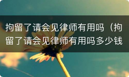 拘留了请会见律师有用吗（拘留了请会见律师有用吗多少钱）