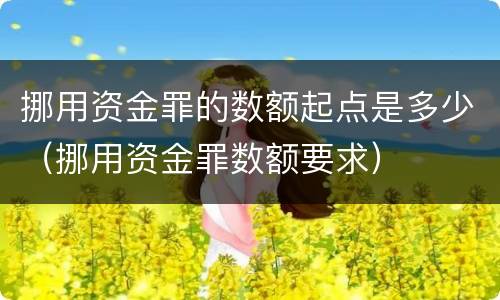 挪用资金罪的数额起点是多少（挪用资金罪数额要求）
