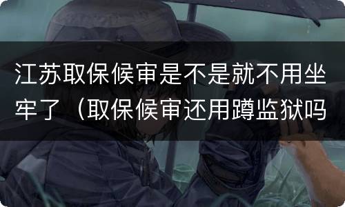 江苏取保候审是不是就不用坐牢了（取保候审还用蹲监狱吗）