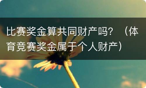 比赛奖金算共同财产吗？（体育竞赛奖金属于个人财产）