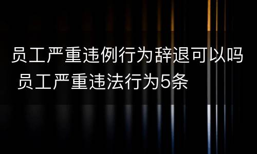 员工严重违例行为辞退可以吗 员工严重违法行为5条
