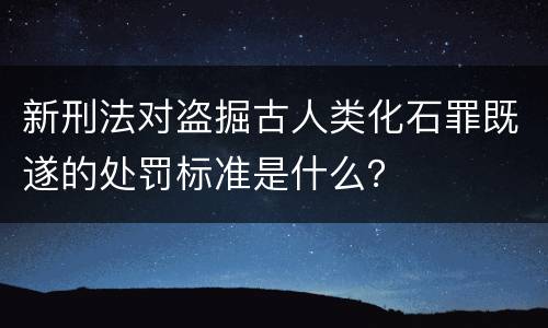 新刑法对盗掘古人类化石罪既遂的处罚标准是什么？