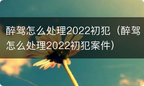 醉驾怎么处理2022初犯（醉驾怎么处理2022初犯案件）