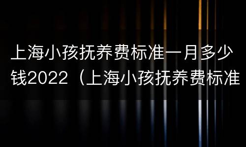 上海小孩抚养费标准一月多少钱2022（上海小孩抚养费标准一月多少钱2020年）