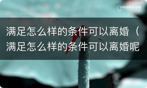 满足怎么样的条件可以离婚（满足怎么样的条件可以离婚呢）