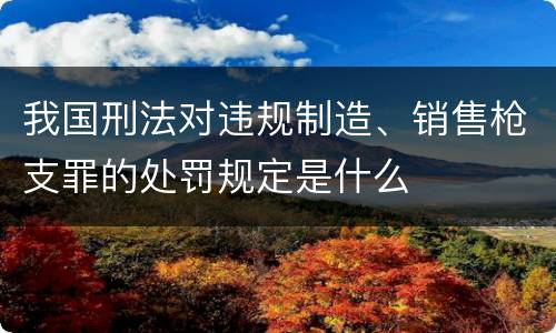 我国刑法对违规制造、销售枪支罪的处罚规定是什么
