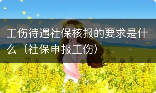 工伤待遇社保核报的要求是什么（社保申报工伤）