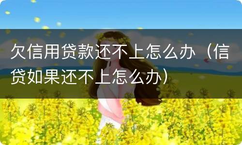 欠信用贷款还不上怎么办（信贷如果还不上怎么办）