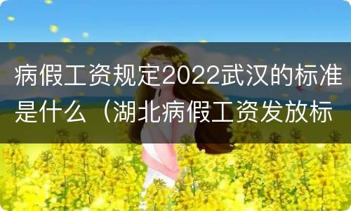 病假工资规定2022武汉的标准是什么（湖北病假工资发放标准2020）