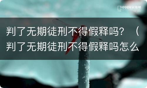 判了无期徒刑不得假释吗？（判了无期徒刑不得假释吗怎么办）