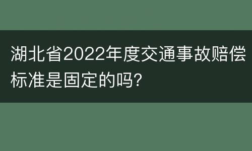湖北省2022年度交通事故赔偿标准是固定的吗？