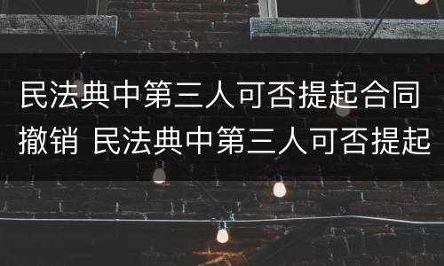 民法典中第三人可否提起合同撤销 民法典中第三人可否提起合同撤销诉讼请求