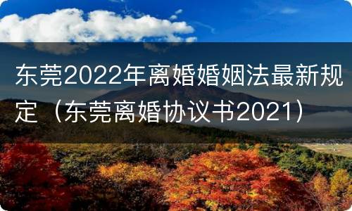 东莞2022年离婚婚姻法最新规定（东莞离婚协议书2021）