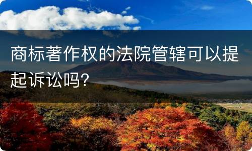 商标著作权的法院管辖可以提起诉讼吗？