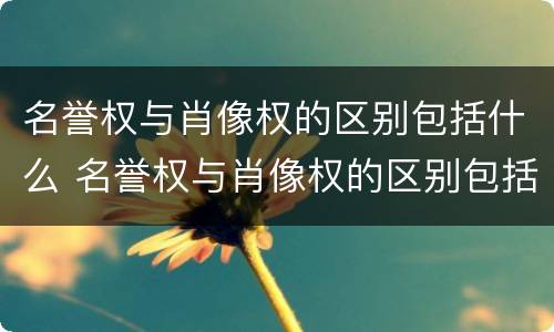名誉权与肖像权的区别包括什么 名誉权与肖像权的区别包括什么