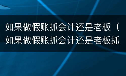 如果做假账抓会计还是老板（如果做假账抓会计还是老板抓会计）