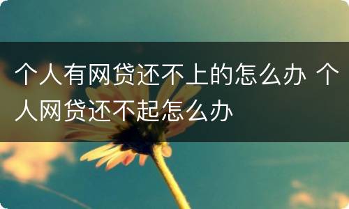 个人有网贷还不上的怎么办 个人网贷还不起怎么办