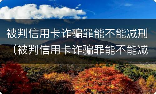 被判信用卡诈骗罪能不能减刑（被判信用卡诈骗罪能不能减刑一年）