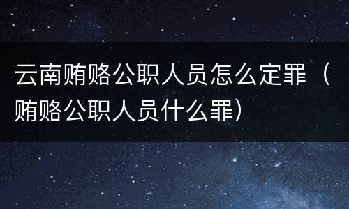 云南贿赂公职人员怎么定罪（贿赂公职人员什么罪）