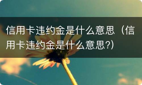 信用卡违约金是什么意思（信用卡违约金是什么意思?）