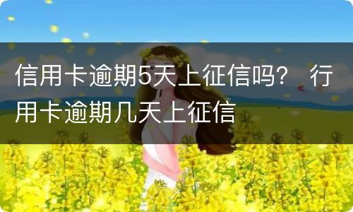信用卡逾期5天上征信吗？ 行用卡逾期几天上征信