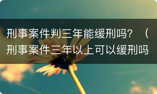 刑事案件判三年能缓刑吗？（刑事案件三年以上可以缓刑吗）