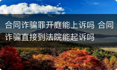 合同诈骗罪开庭能上诉吗 合同诈骗直接到法院能起诉吗