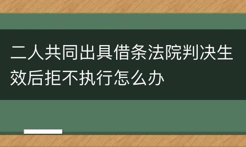 二人共同出具借条法院判决生效后拒不执行怎么办