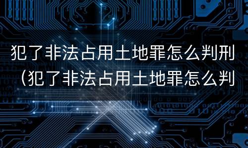 犯了非法占用土地罪怎么判刑（犯了非法占用土地罪怎么判刑的）