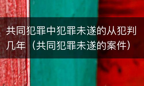 共同犯罪中犯罪未遂的从犯判几年（共同犯罪未遂的案件）
