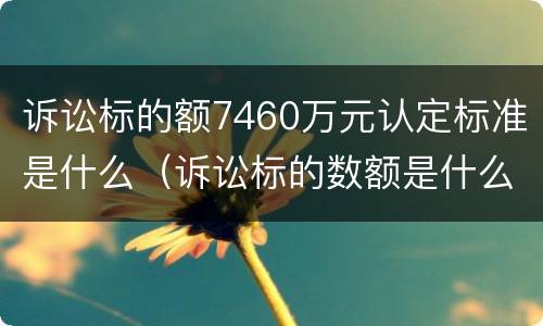 诉讼标的额7460万元认定标准是什么（诉讼标的数额是什么意思）