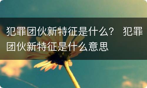犯罪团伙新特征是什么？ 犯罪团伙新特征是什么意思