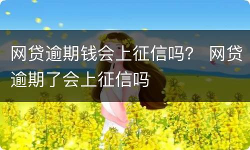 网贷逾期钱会上征信吗？ 网贷逾期了会上征信吗