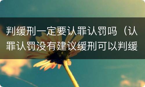 判缓刑一定要认罪认罚吗（认罪认罚没有建议缓刑可以判缓刑吗）
