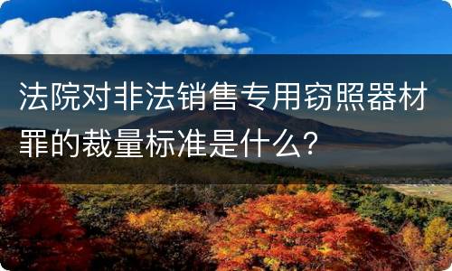 法院对非法销售专用窃照器材罪的裁量标准是什么？