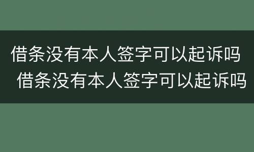 借条没有本人签字可以起诉吗 借条没有本人签字可以起诉吗?