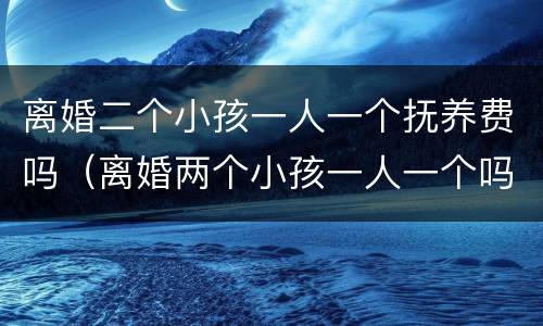 离婚二个小孩一人一个抚养费吗（离婚两个小孩一人一个吗）