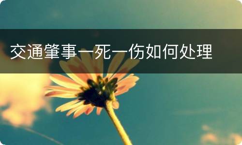 交通肇事一死一伤如何处理