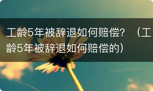 工龄5年被辞退如何赔偿？（工龄5年被辞退如何赔偿的）