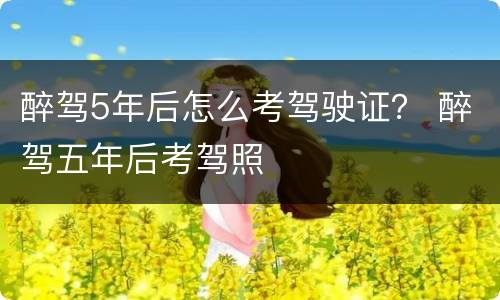 醉驾5年后怎么考驾驶证？ 醉驾五年后考驾照