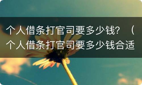 个人借条打官司要多少钱？（个人借条打官司要多少钱合适）
