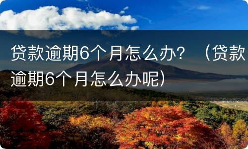 贷款逾期6个月怎么办？（贷款逾期6个月怎么办呢）