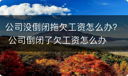 公司没倒闭拖欠工资怎么办？ 公司倒闭了欠工资怎么办