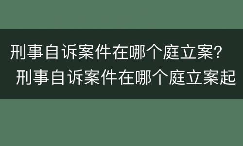 刑事自诉案件在哪个庭立案？ 刑事自诉案件在哪个庭立案起诉