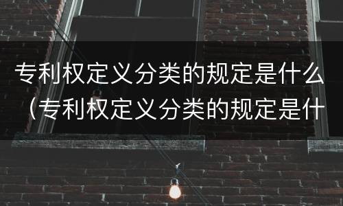 专利权定义分类的规定是什么（专利权定义分类的规定是什么意思）