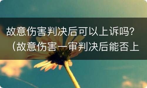 故意伤害判决后可以上诉吗？（故意伤害一审判决后能否上诉）