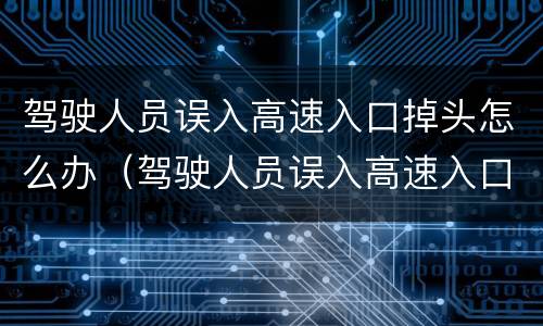 驾驶人员误入高速入口掉头怎么办（驾驶人员误入高速入口掉头怎么办理）