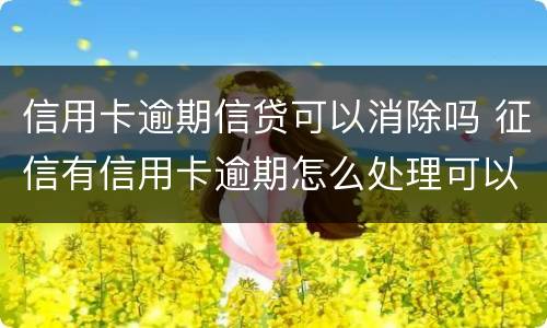 信用卡逾期信贷可以消除吗 征信有信用卡逾期怎么处理可以消除