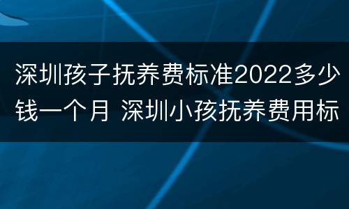 深圳孩子抚养费标准2022多少钱一个月 深圳小孩抚养费用标准