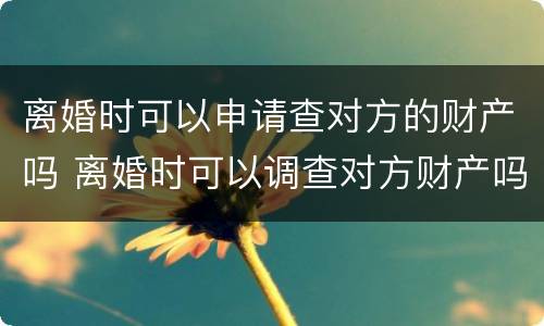 离婚时可以申请查对方的财产吗 离婚时可以调查对方财产吗
